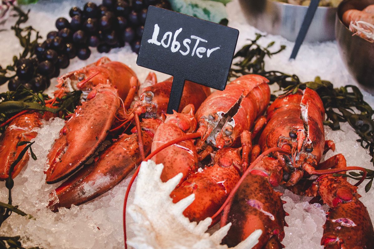 A Taste of Lobster History